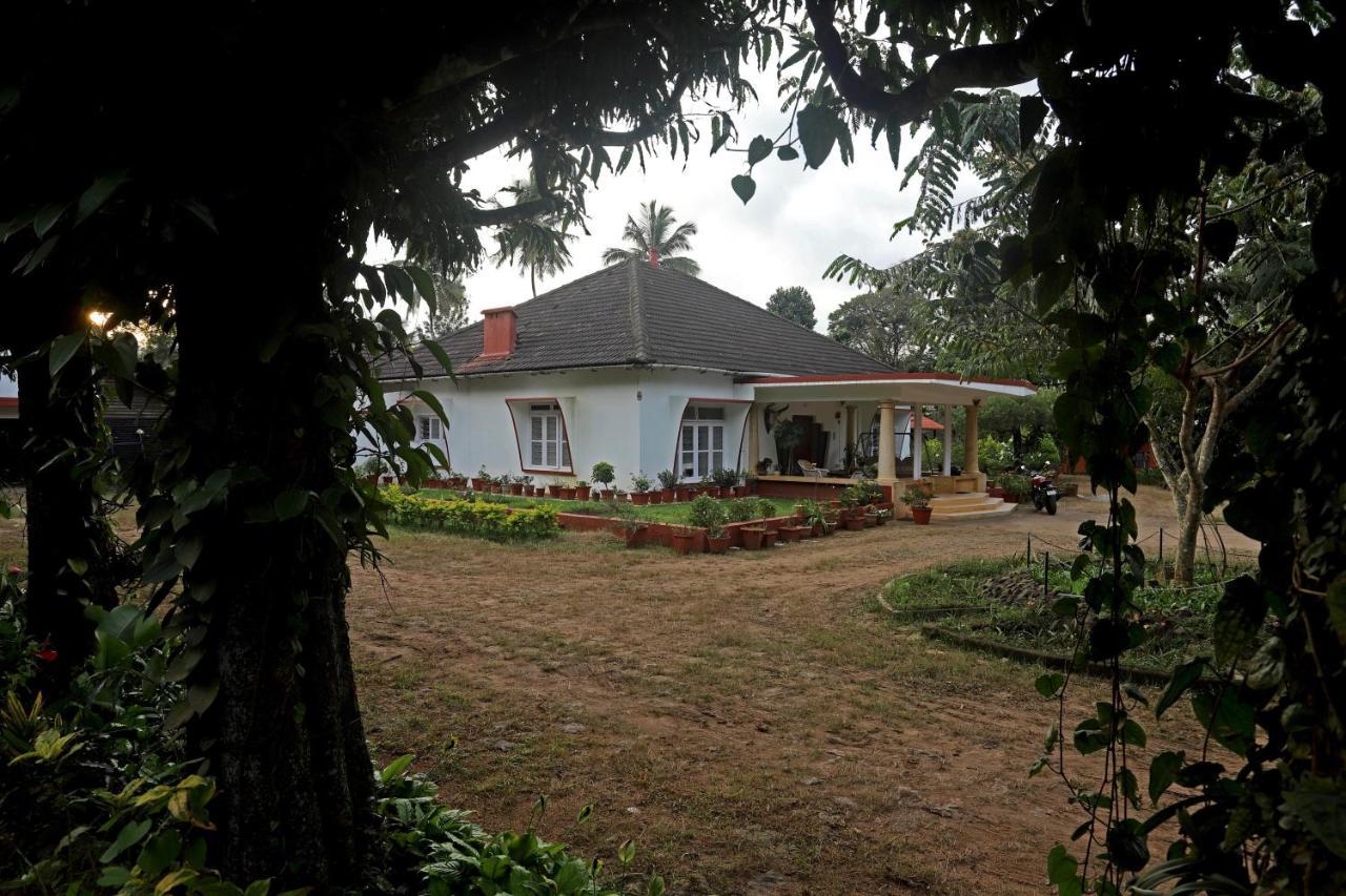 Devi Villa - Plantation Retreat And Forest Getaway Kutta Buitenkant foto
